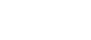 DDL Srl